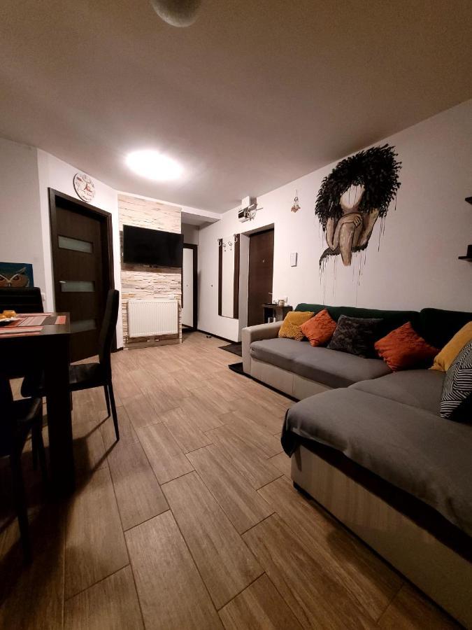 Dds Apartment Брашов Экстерьер фото