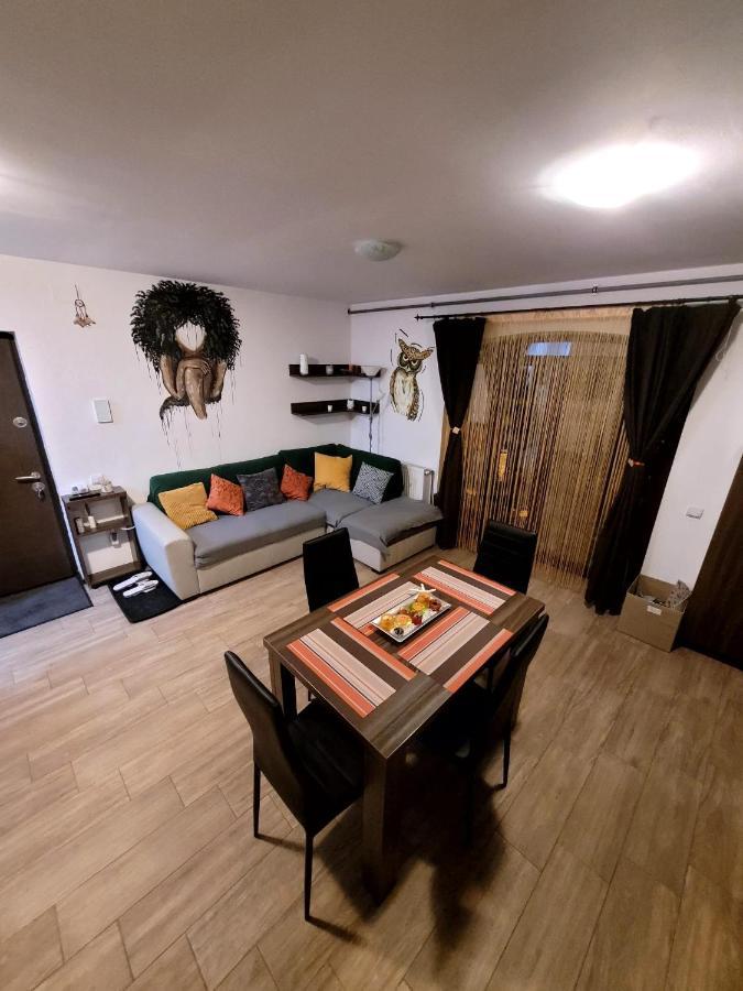 Dds Apartment Брашов Экстерьер фото