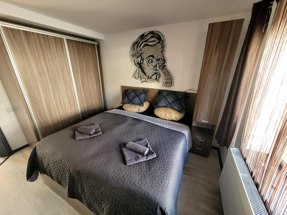 Dds Apartment Брашов Экстерьер фото