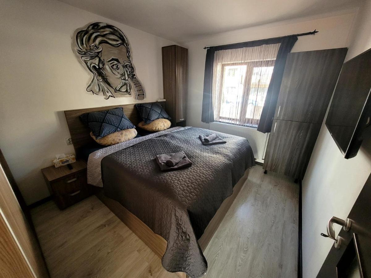 Dds Apartment Брашов Экстерьер фото